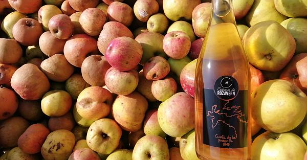 Cuvée de la presqu'île n°7